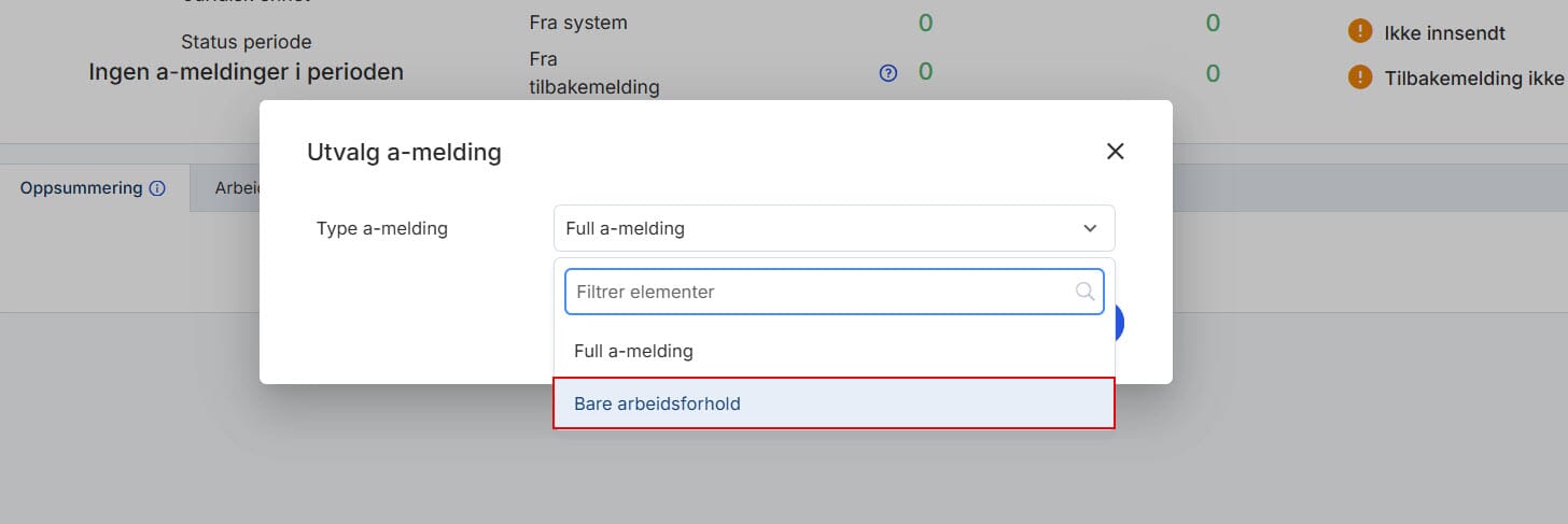 Bare arbeidsforhold (a-melding) 2.jpg
