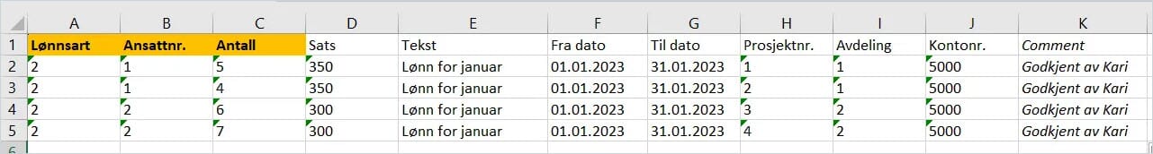Importere variable lønnsposter fra excel til lønnsavregning 4.jpg Importere variable lønnsposter fra excel til lønnsavregning 4.jpg