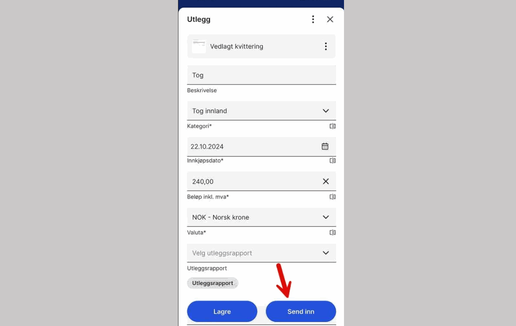 CS.RU.Sendeinnutlegg.1.png CS.RU.Sendeinnutlegg.1.png
