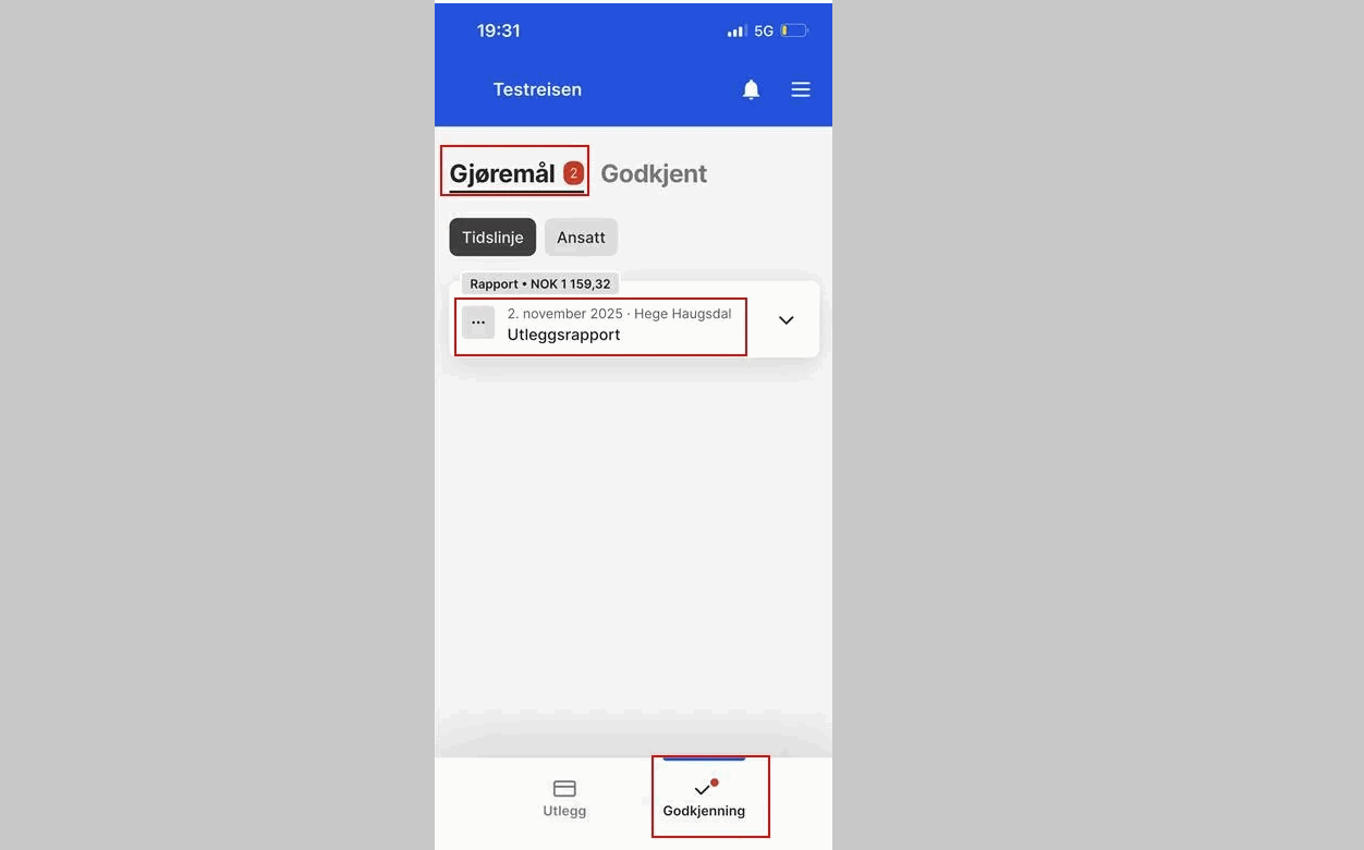 cs. uni reise og utlegg - godkjenning utlegg1.png