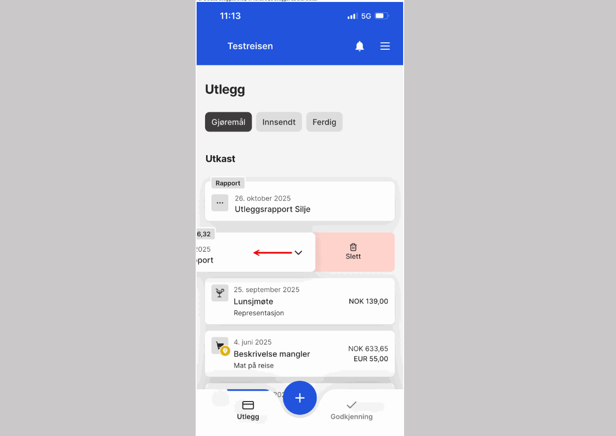 cs. uni reise og utlegg - sletting3.png