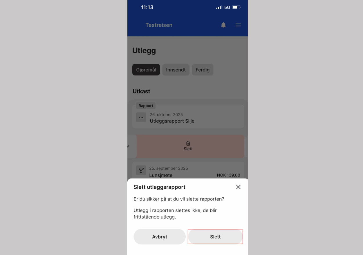 cs. uni reise og utlegg - sletting4.png cs. uni reise og utlegg - sletting4.png