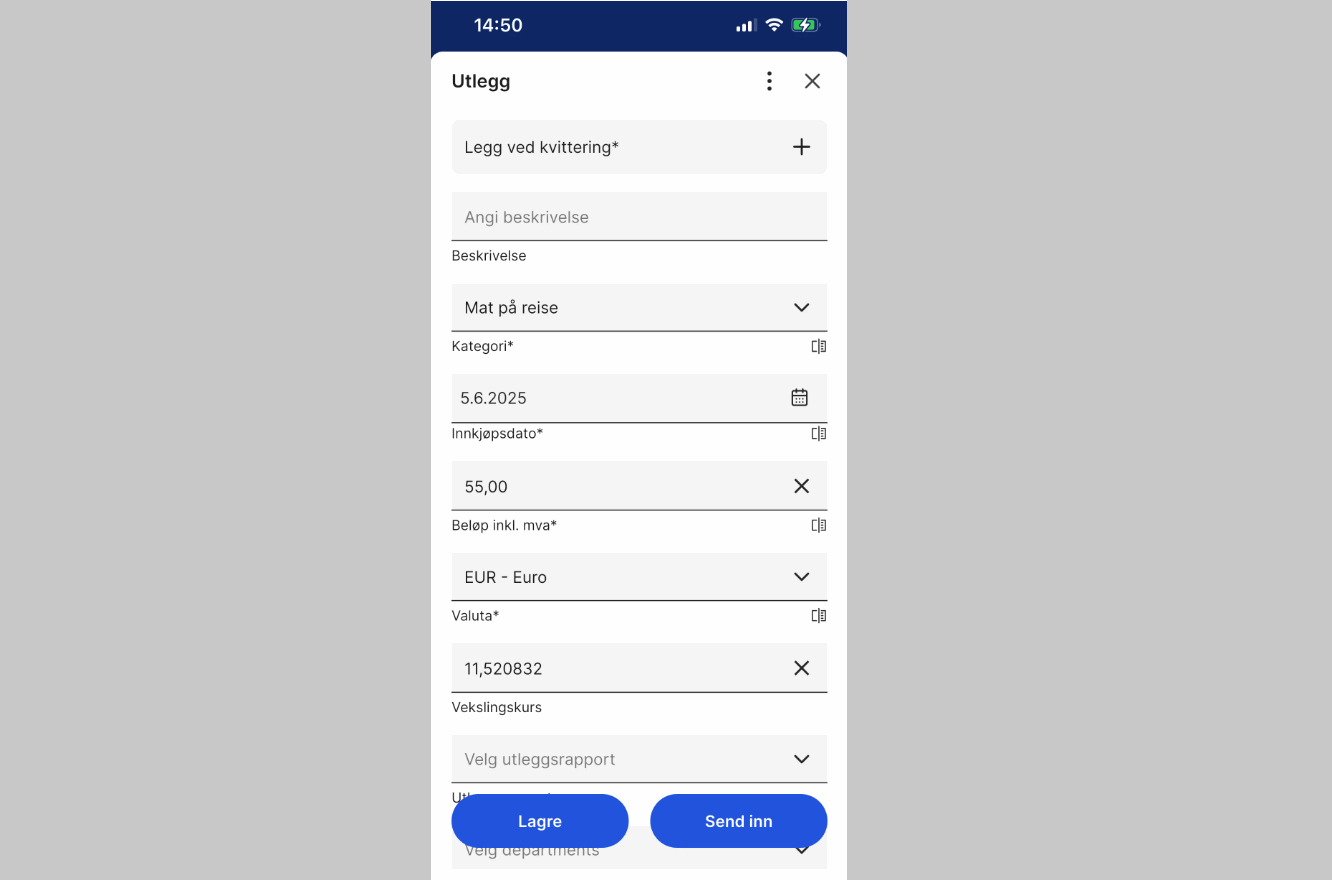 cs. uni reise og utlegg - valuta1.png